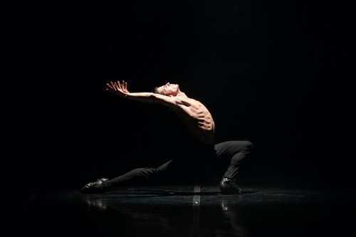 8 luglio 2026 - RANGO | BOLERO | SUITE FLAMENCA - POLITEAMA Napoli